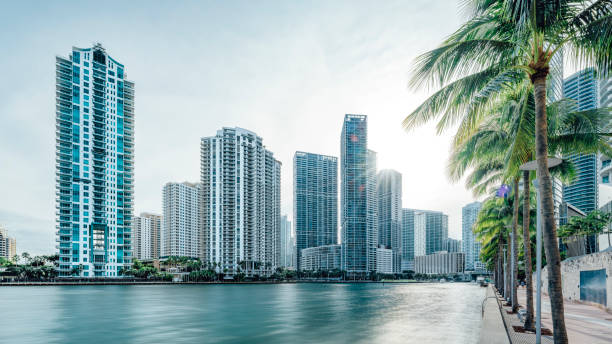 Fort Lauderdale Beach Condo Buildings: A Guide to the Towers on A1A and the Galt Ocean Mile