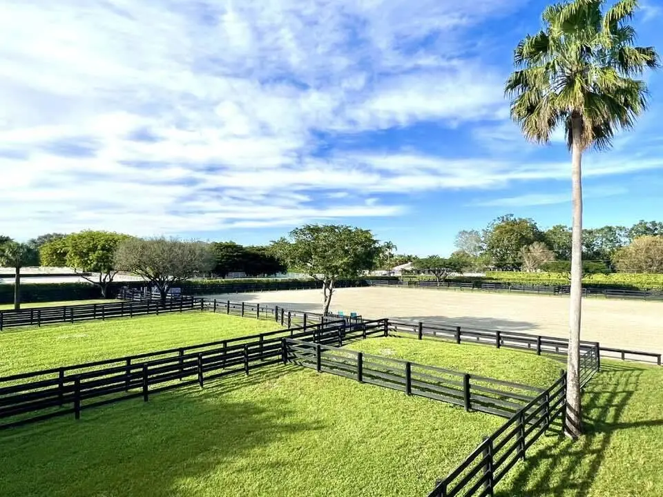 app dan1 at 2705 Appaloosa Trail, Wellington