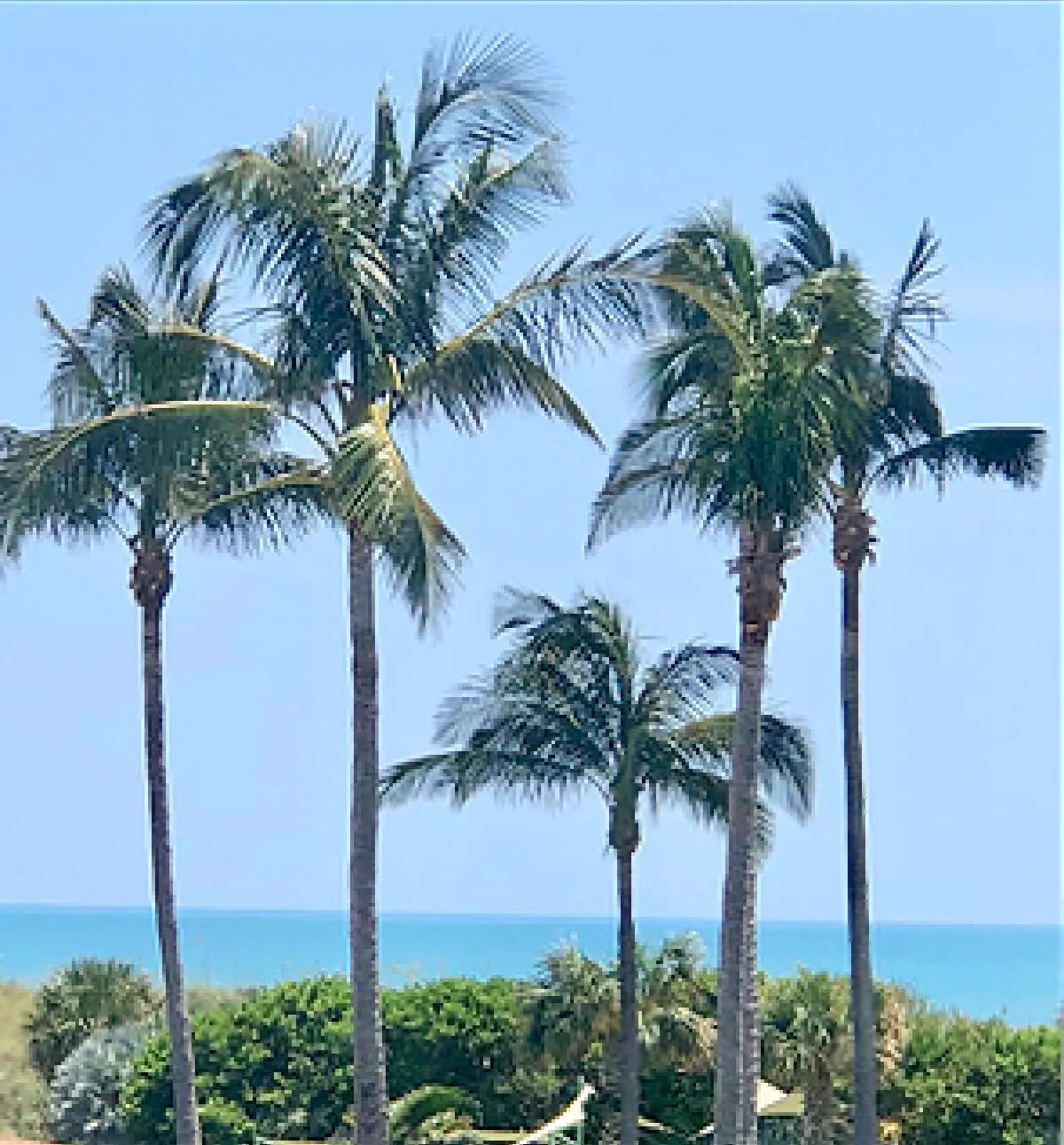 OCEAN VIEWS! at 2400 S Ocean Drive 1033, Fort Pierce