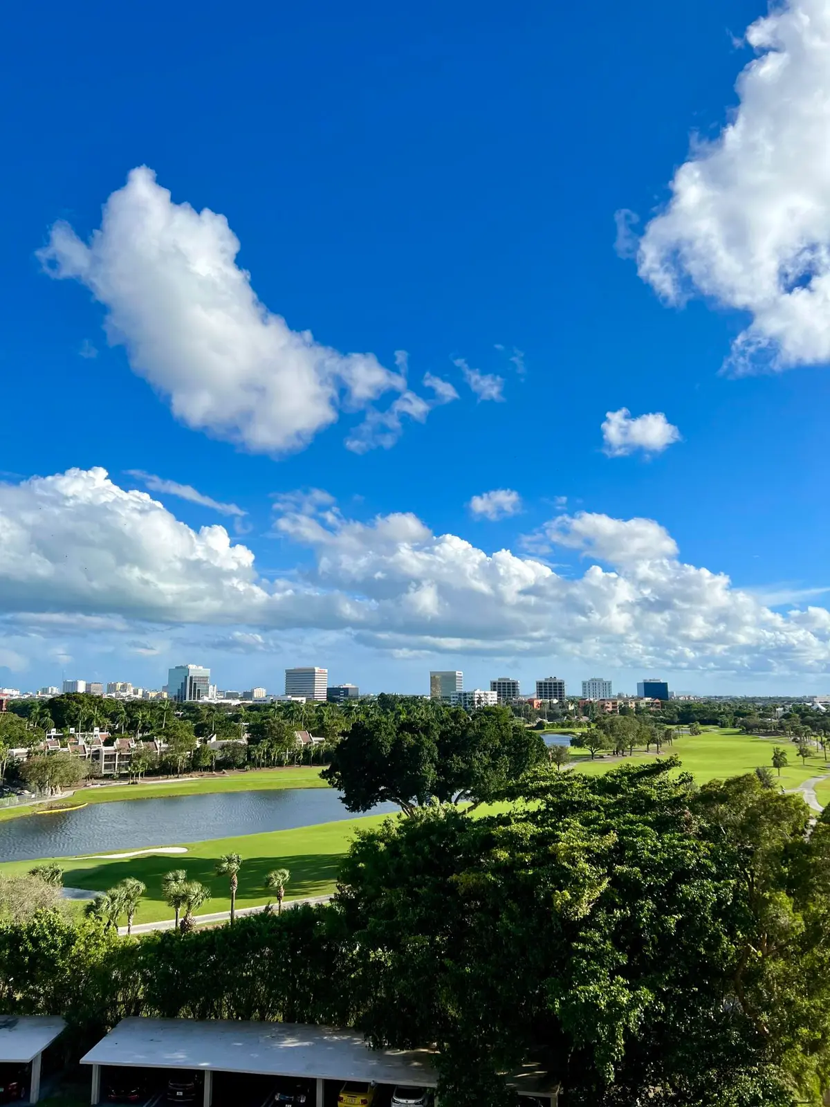 IMG_6682 at 2425 Presidential Way 806, West Palm Beach