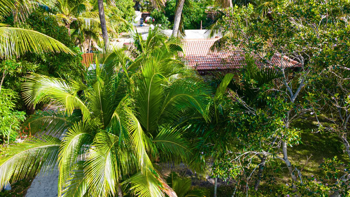 casa-6 at 1501 NE 3rd Avenue, Delray Beach