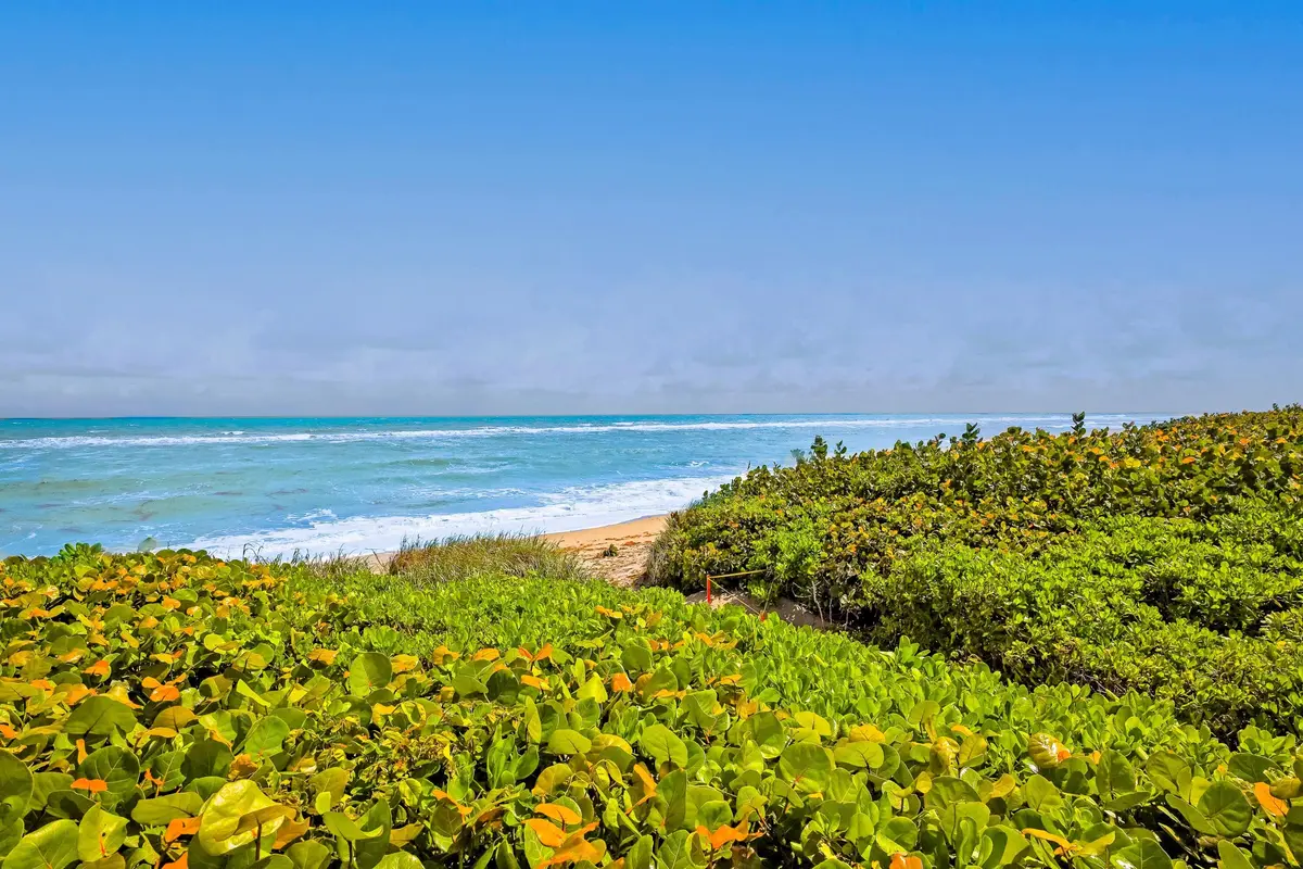 OCEANFRONT at 420 Celestial Way 204, Juno Beach