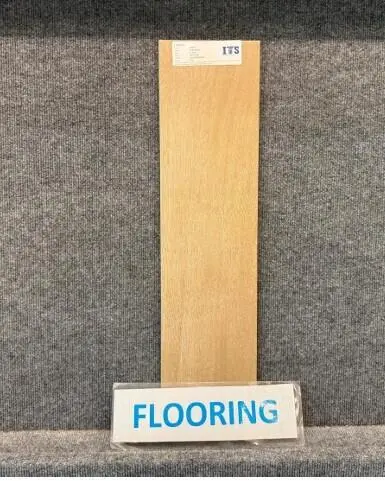 790 Flooring Selection at 14179 SW Incarnadine Lane Mystique 790, Port St. Lucie