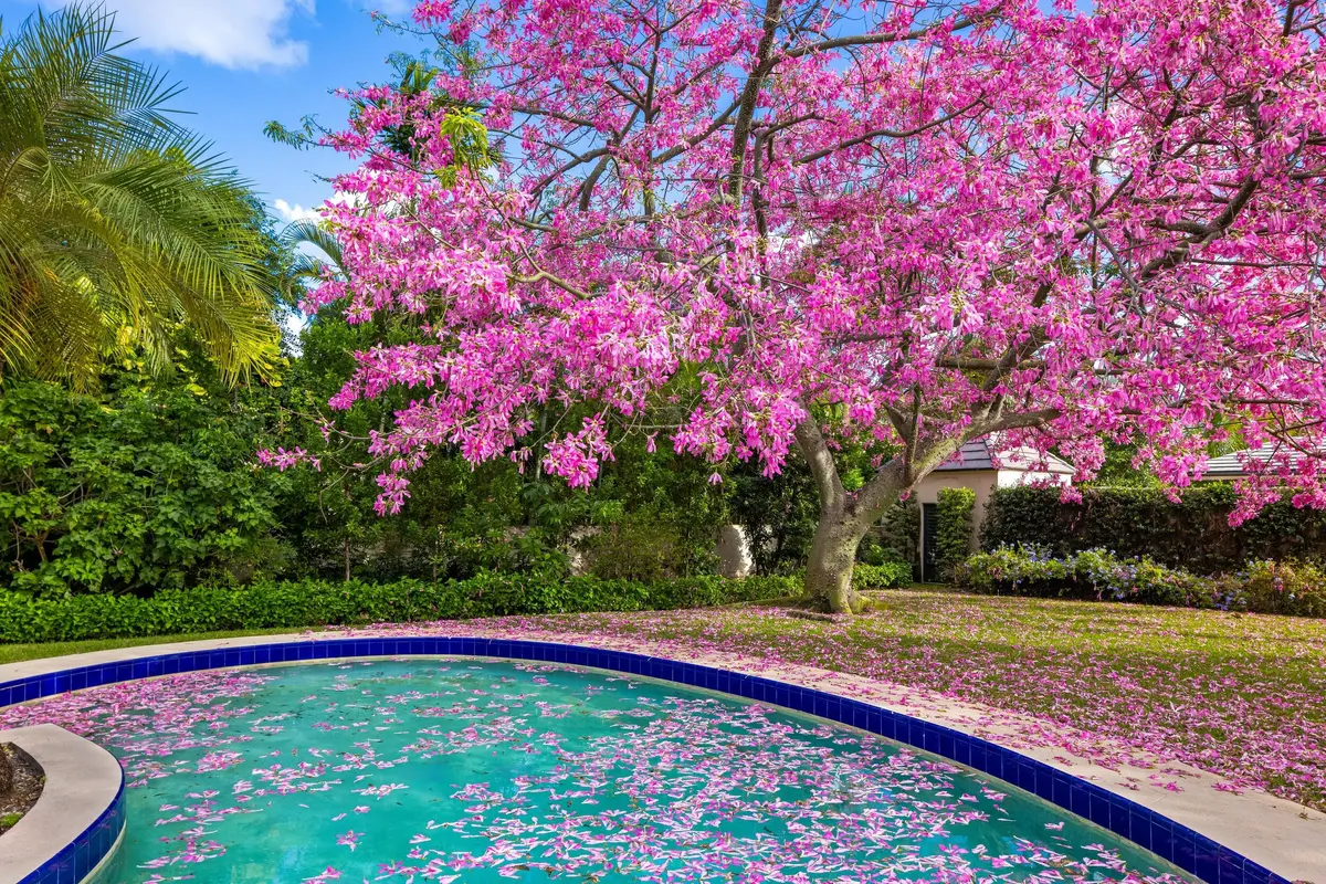 Rear Exterior at 334 Barton Avenue, Palm Beach