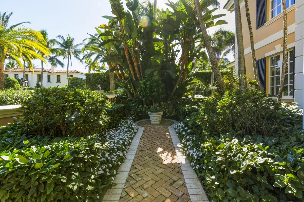 _DSC1152_with_grass at 127 Ocean View Road, Palm Beach