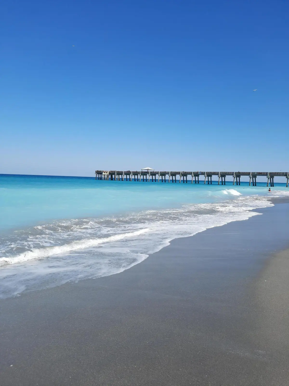 Jupiter Beach, FL at 1206 Mainsail Circle, Jupiter