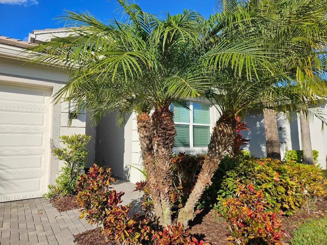 Carriage Hill Lush Landscapping at 11087 SW Carriage Hill Lane, Port St. Lucie