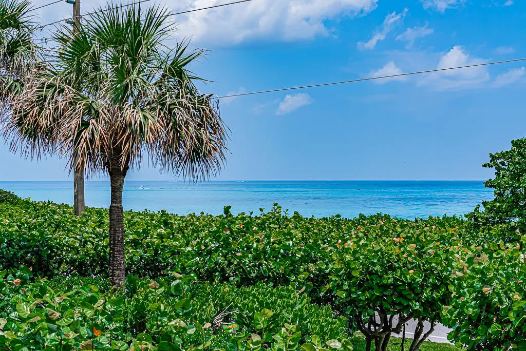 stunning Ocean Views at 1055 Ocean Drive 202, Juno Beach
