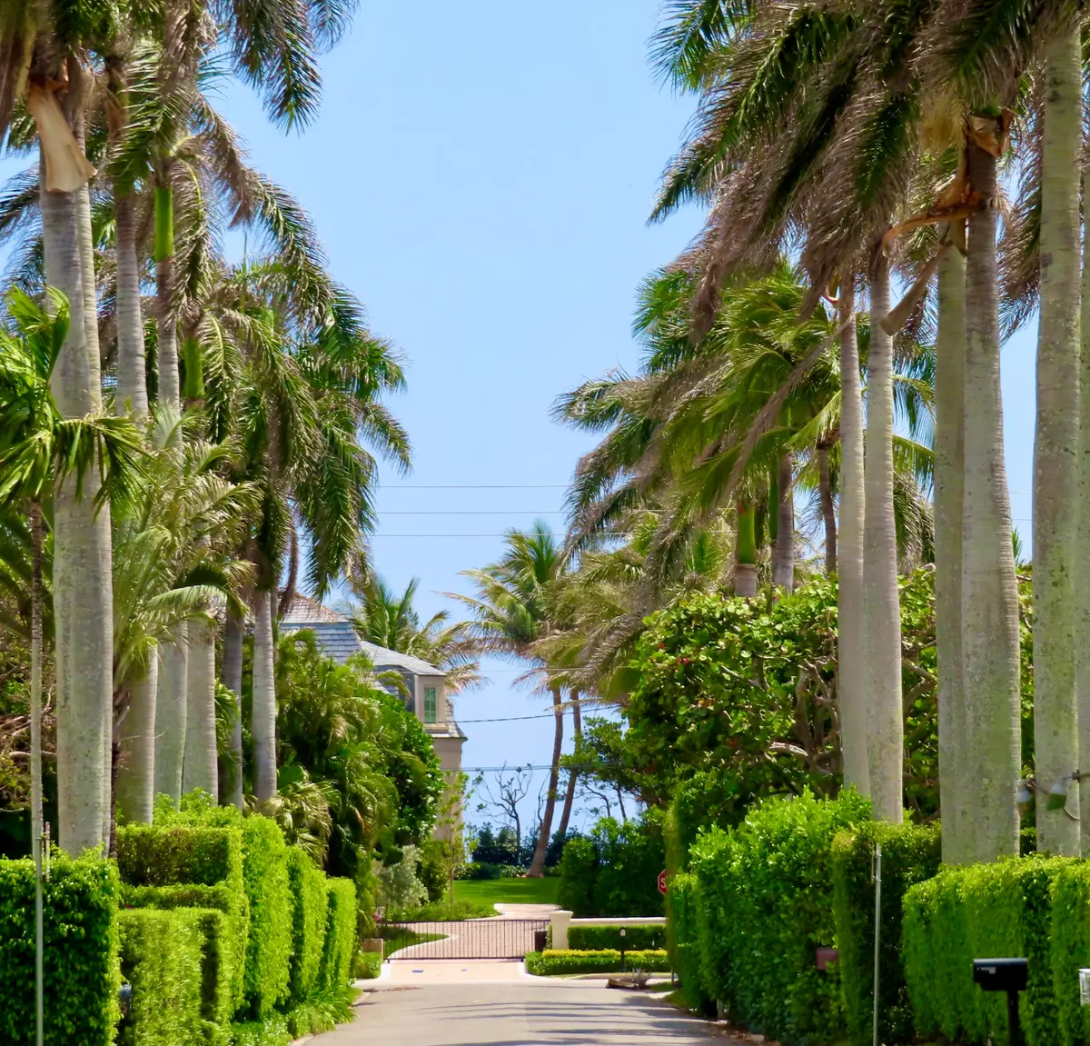 List Road at 241 List Road, Palm Beach