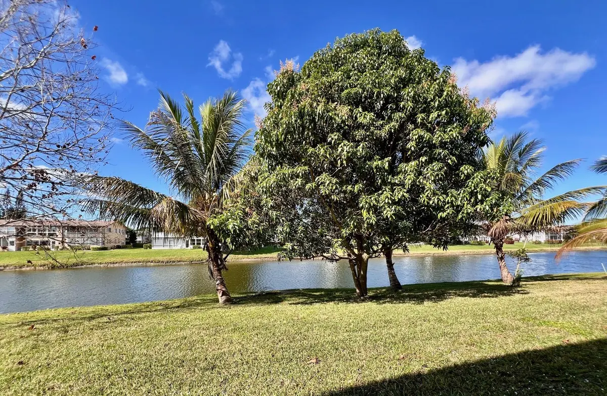 Views Views Views at 240 Bedford J, West Palm Beach