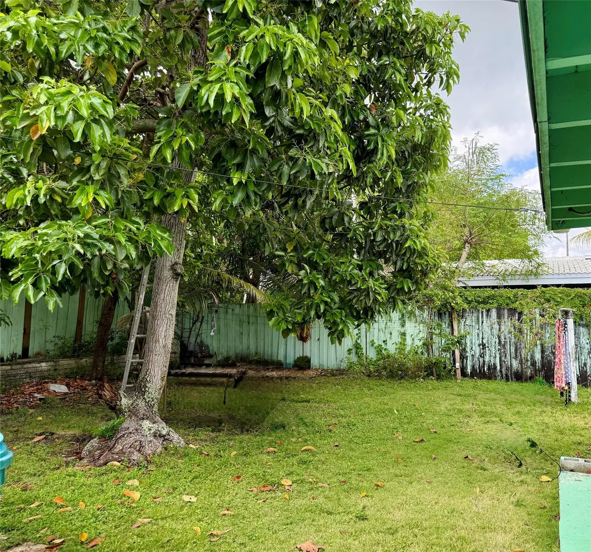 Photo 7 at 430 NE 75th Street, Miami