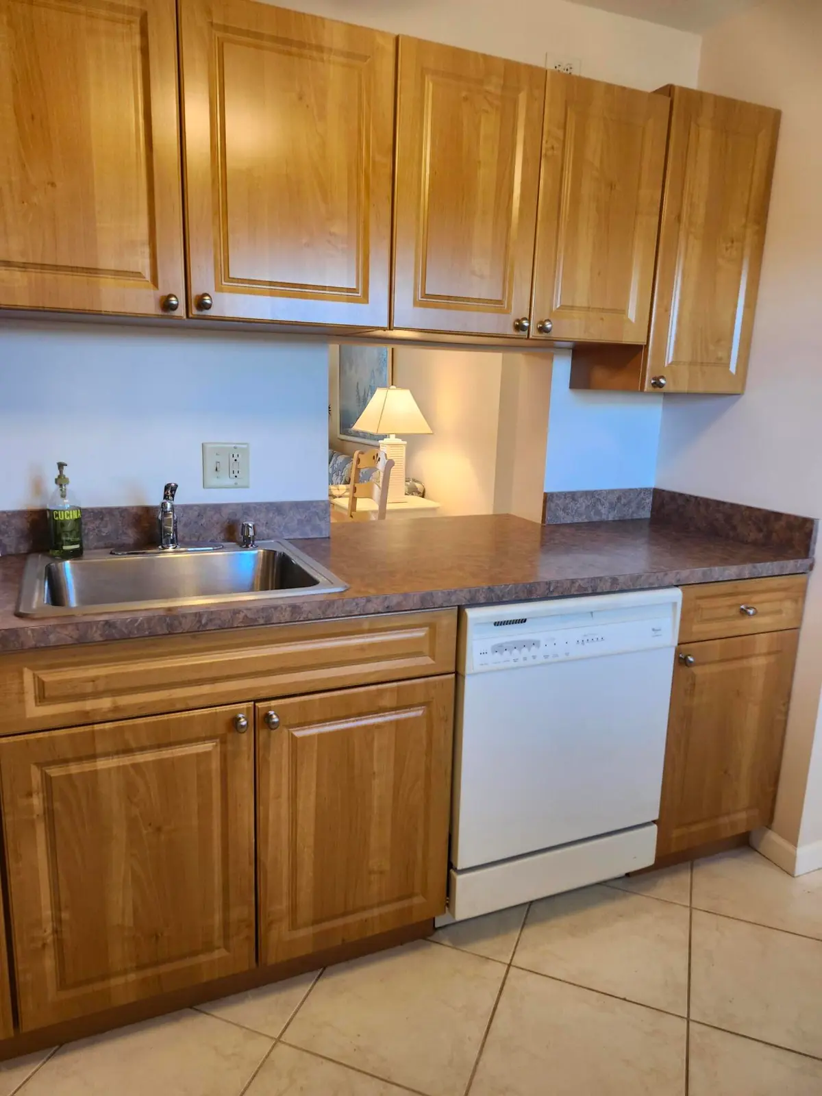 Kitchen Dishwasher at 230 NE 26th Avenue 408, Boynton Beach