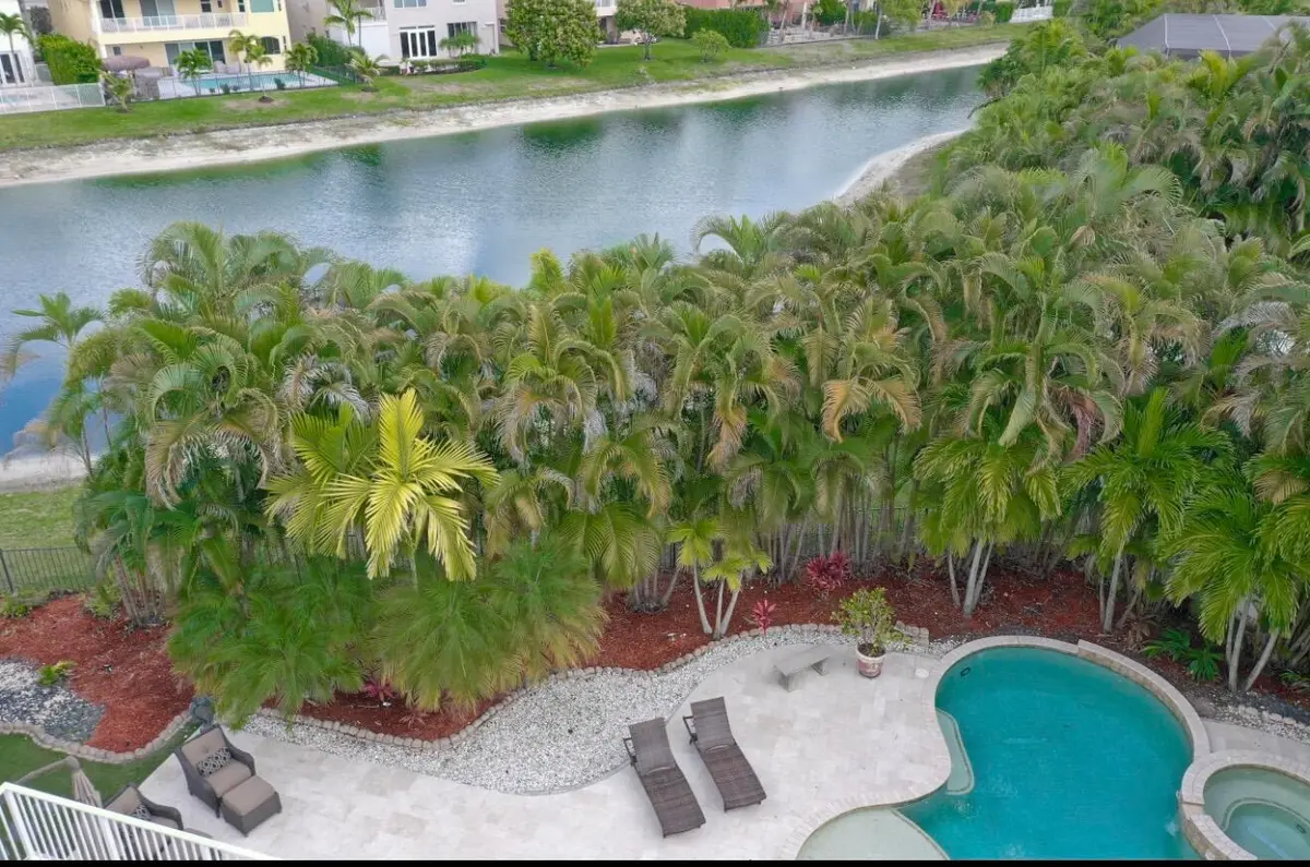 Tons of Palms at 9732 Phipps Lane, Wellington