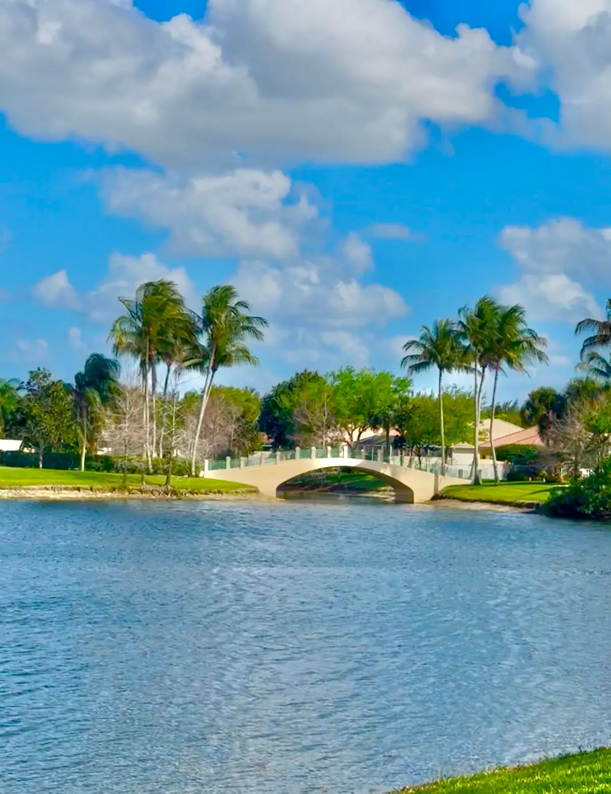 Picturesque Lake Views and Bridges at 8233 Cozumel Lane, Wellington