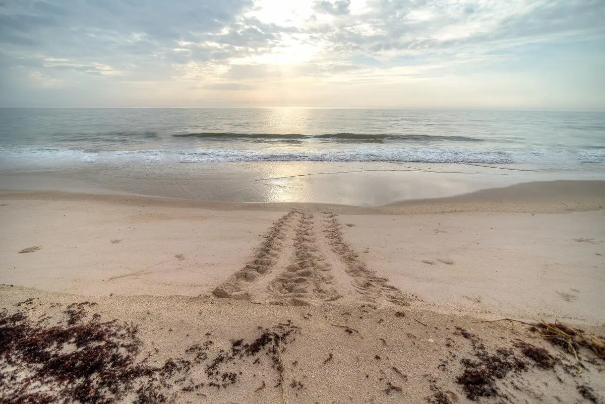 Vero-Beach-004-Print at 1640 4th Avenue, Vero Beach