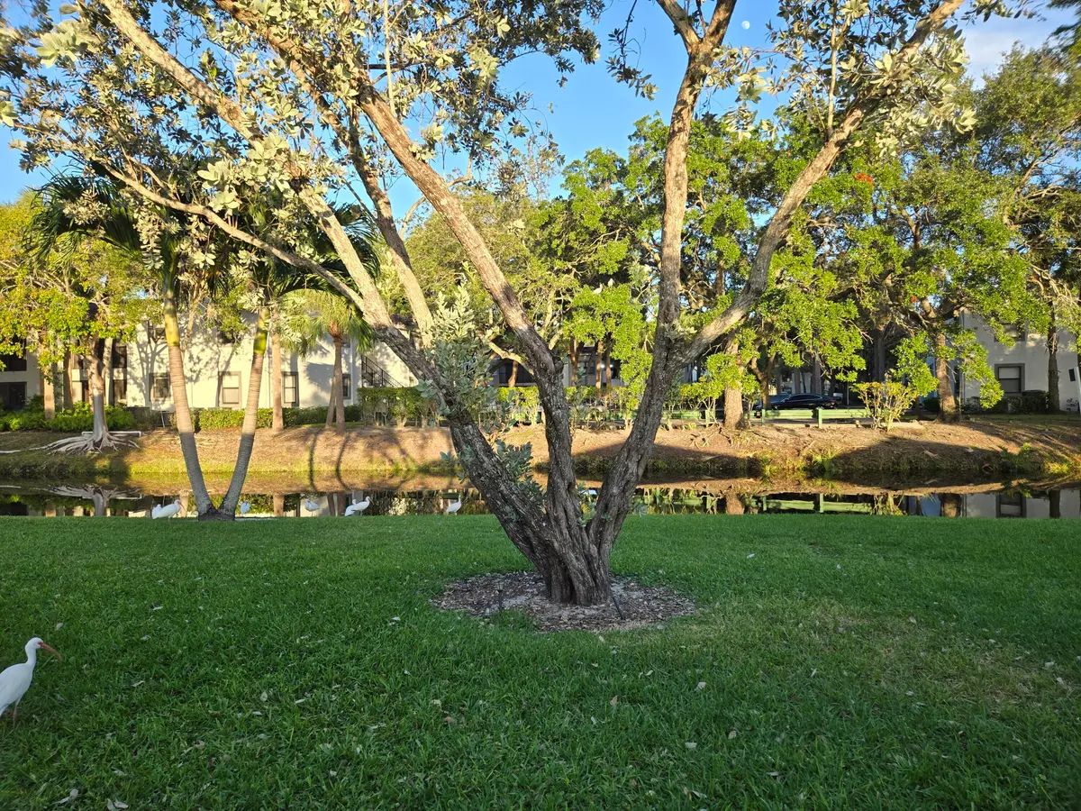 rear view at 1320 NW 82nd Avenue, Plantation