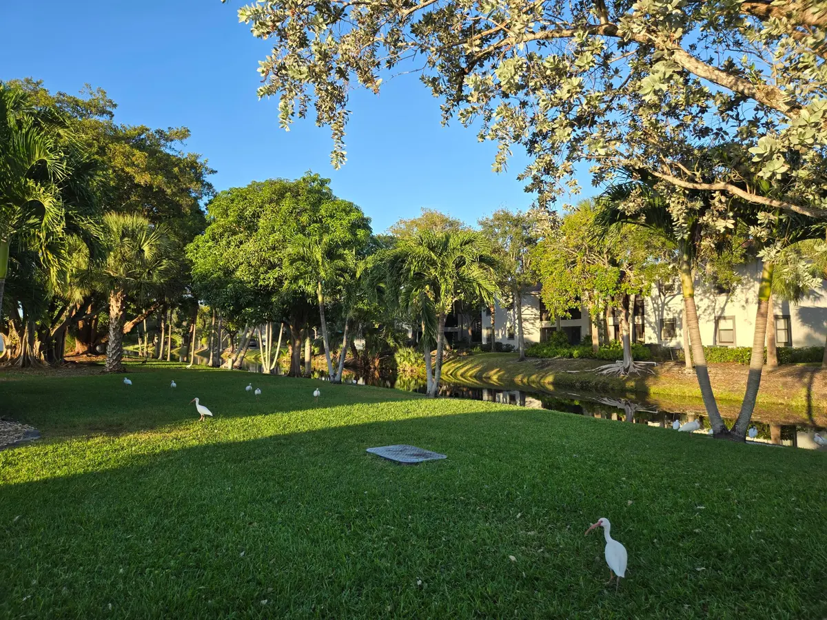canal at 1320 NW 82nd Avenue, Plantation