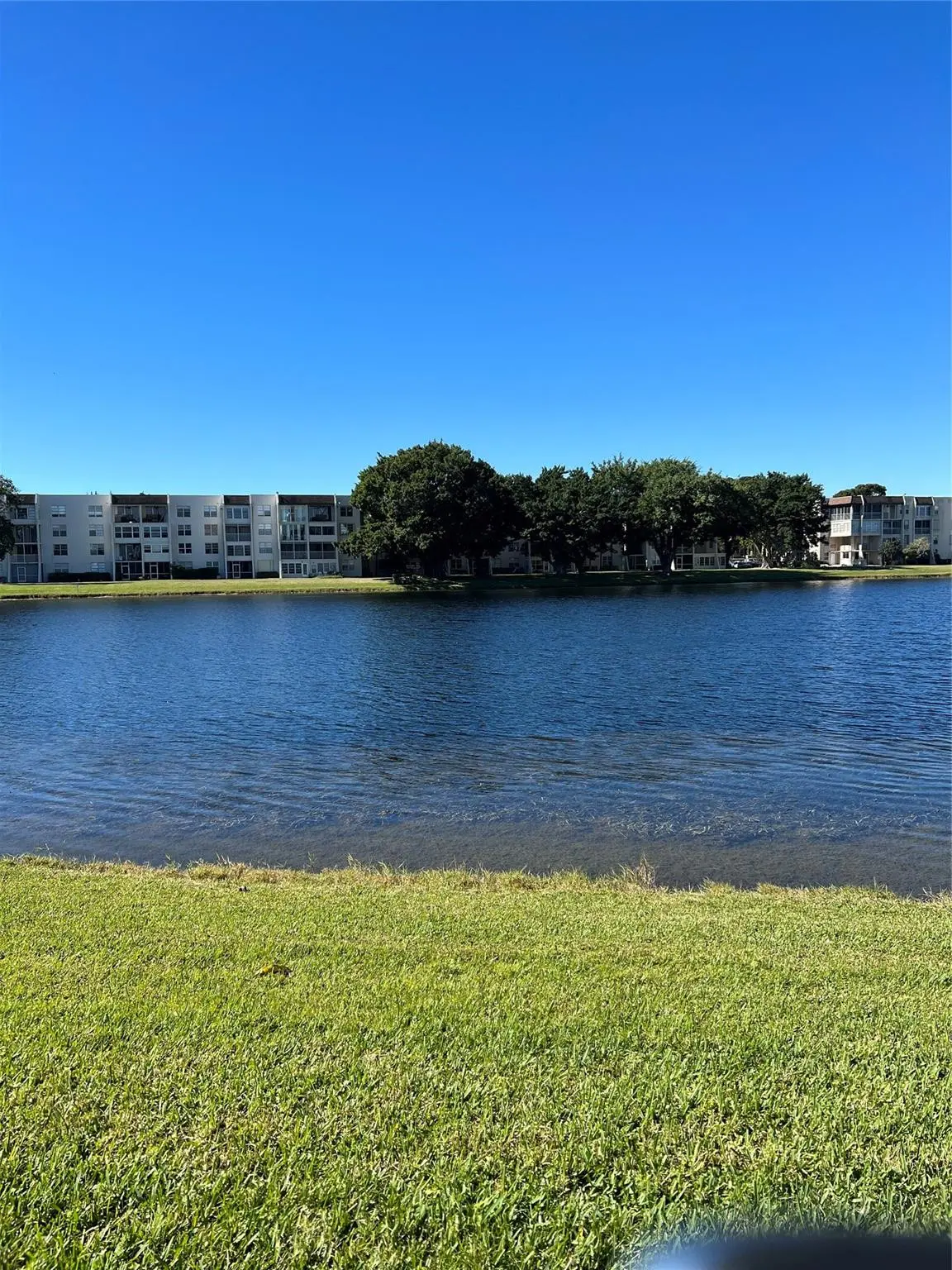 Photo 6 at 1526 Whitehall Drive 402, Davie