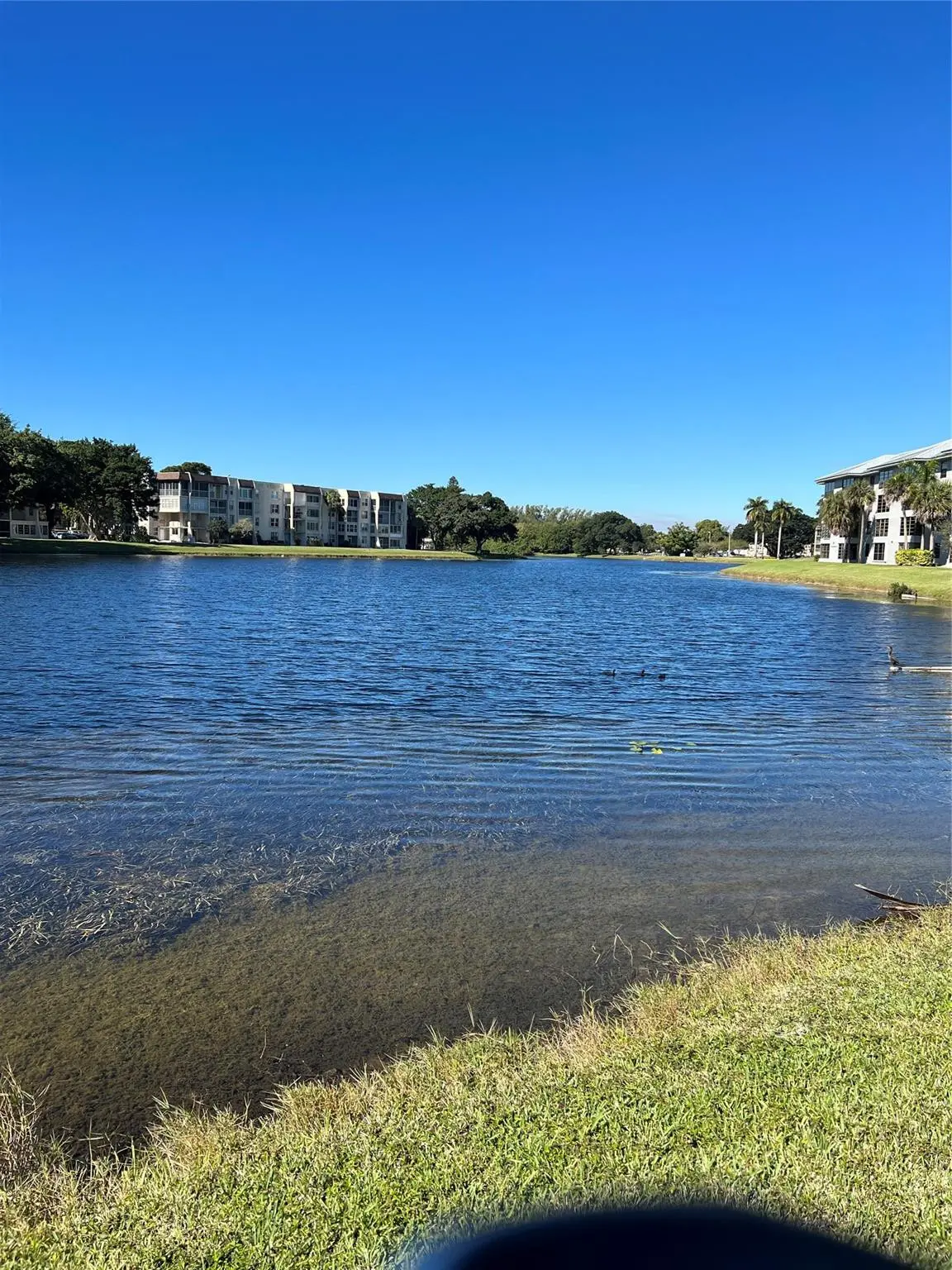 Photo 7 at 1526 Whitehall Drive 402, Davie