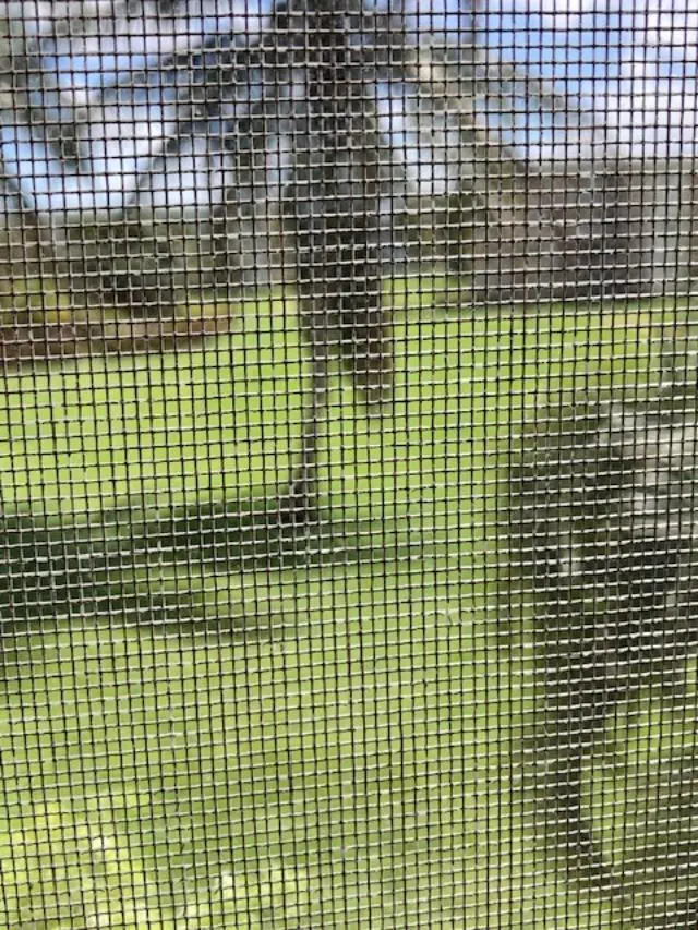 Patio/Porch View of Backyard at 230 NE 26th Avenue 2140, Boynton Beach