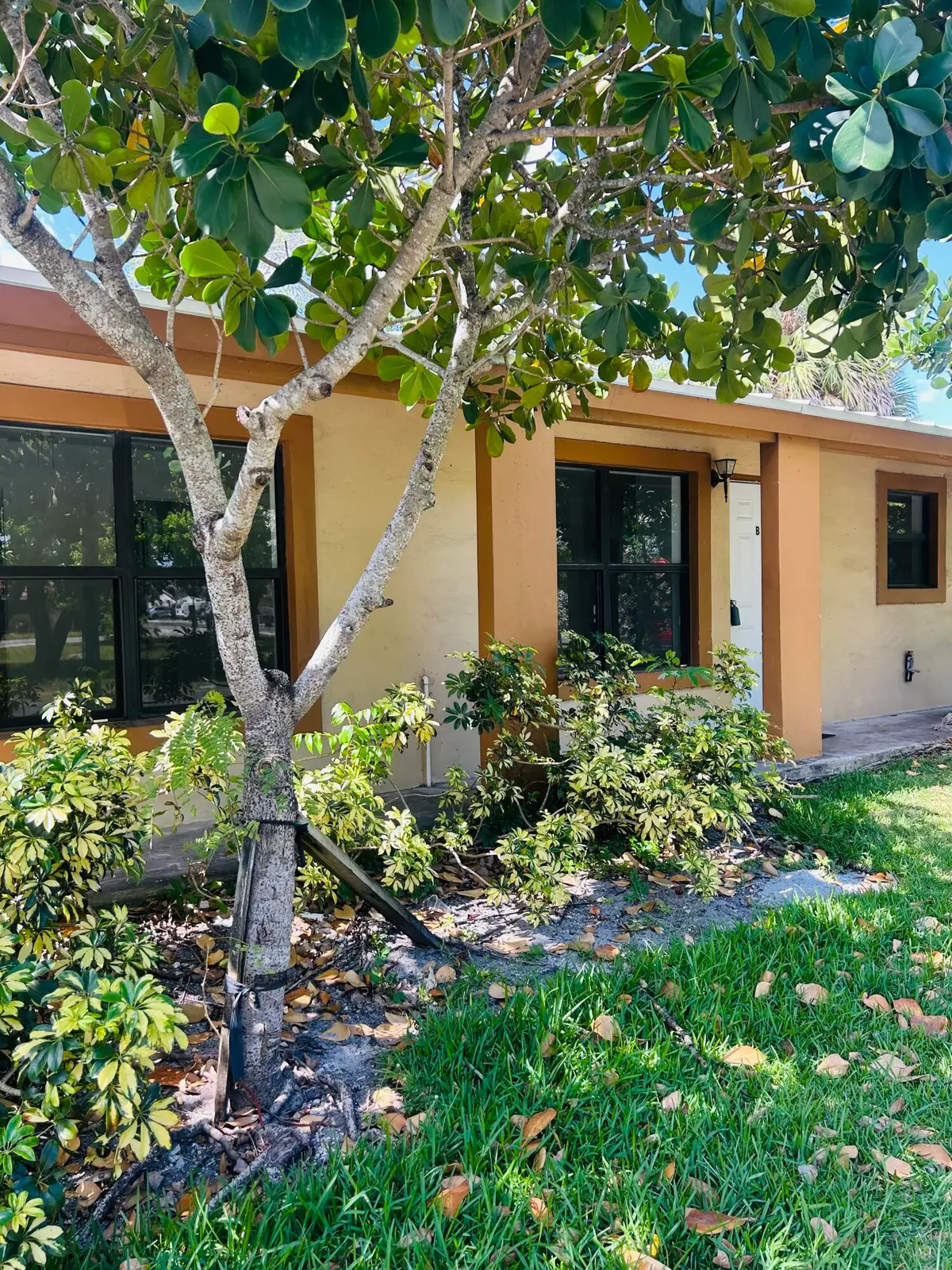 IMG_3361 at 844 NW 3rd Avenue B, Fort Lauderdale