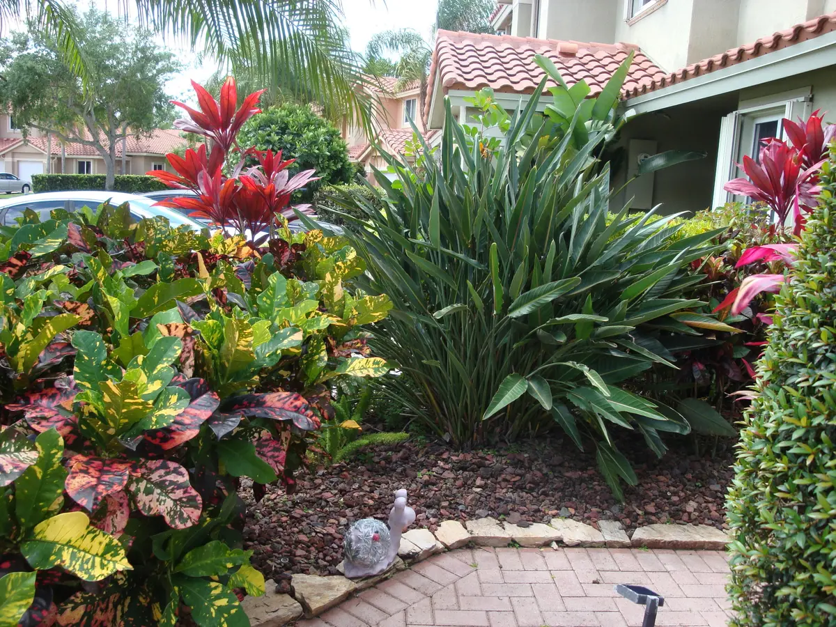 LUSH WALKWAY at 5736 NW 127th Terrace, Coral Springs