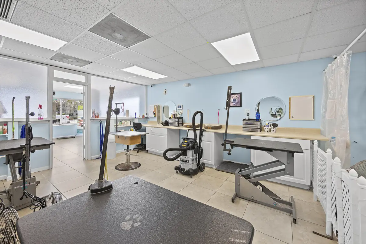 Pet Grooming at 101 NE 2nd Avenue, Deerfield Beach