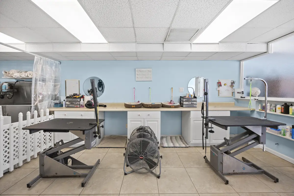 Pet Grooming at 101 NE 2nd Avenue, Deerfield Beach