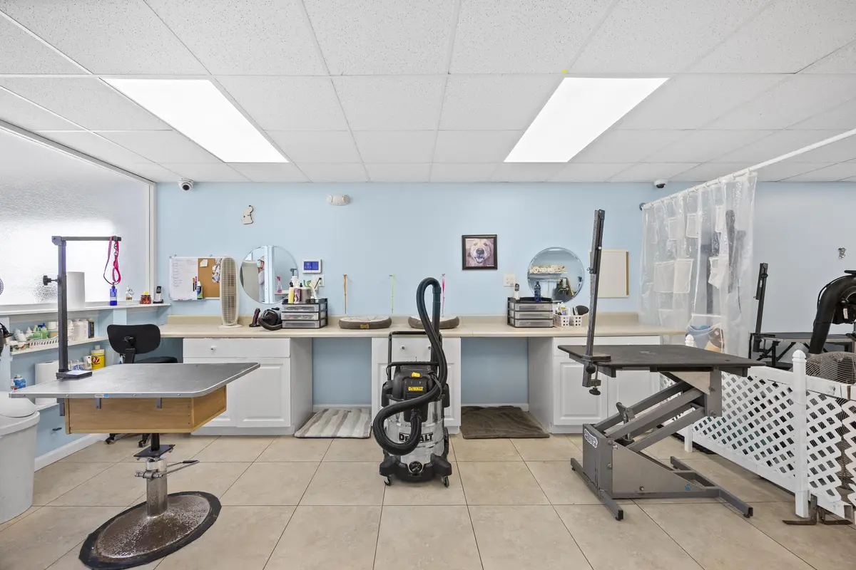 Pet Grooming at 101 NE 2nd Avenue, Deerfield Beach