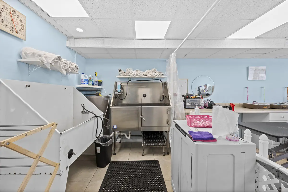 Pet Grooming at 101 NE 2nd Avenue, Deerfield Beach