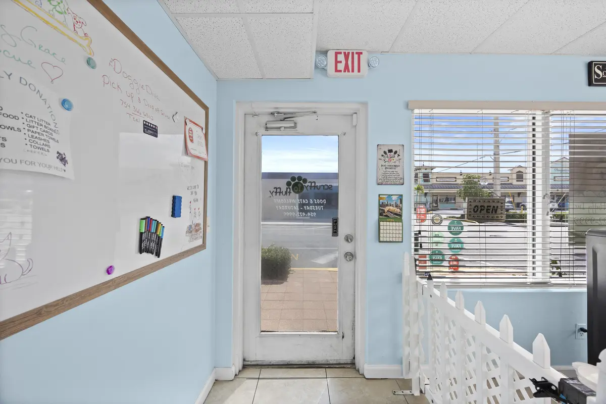 Pet Grooming at 101 NE 2nd Avenue, Deerfield Beach