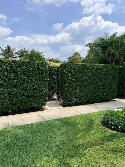 225 Everglade Avenue Villa 6, Palm Beach – leased