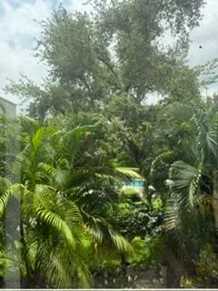 IMG_1143 at 501 SW 11th 211, Boca Raton