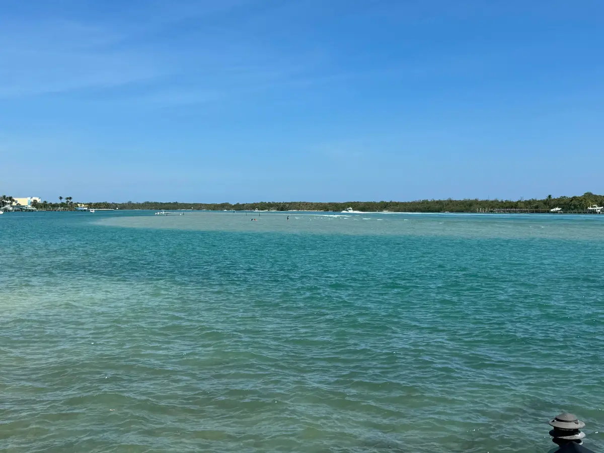 view - waterway at 200 Intracoastal Place 404, Jupiter