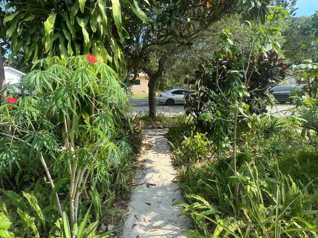 Front walkway at 1631 NE 157th Terrace, North Miami Beach