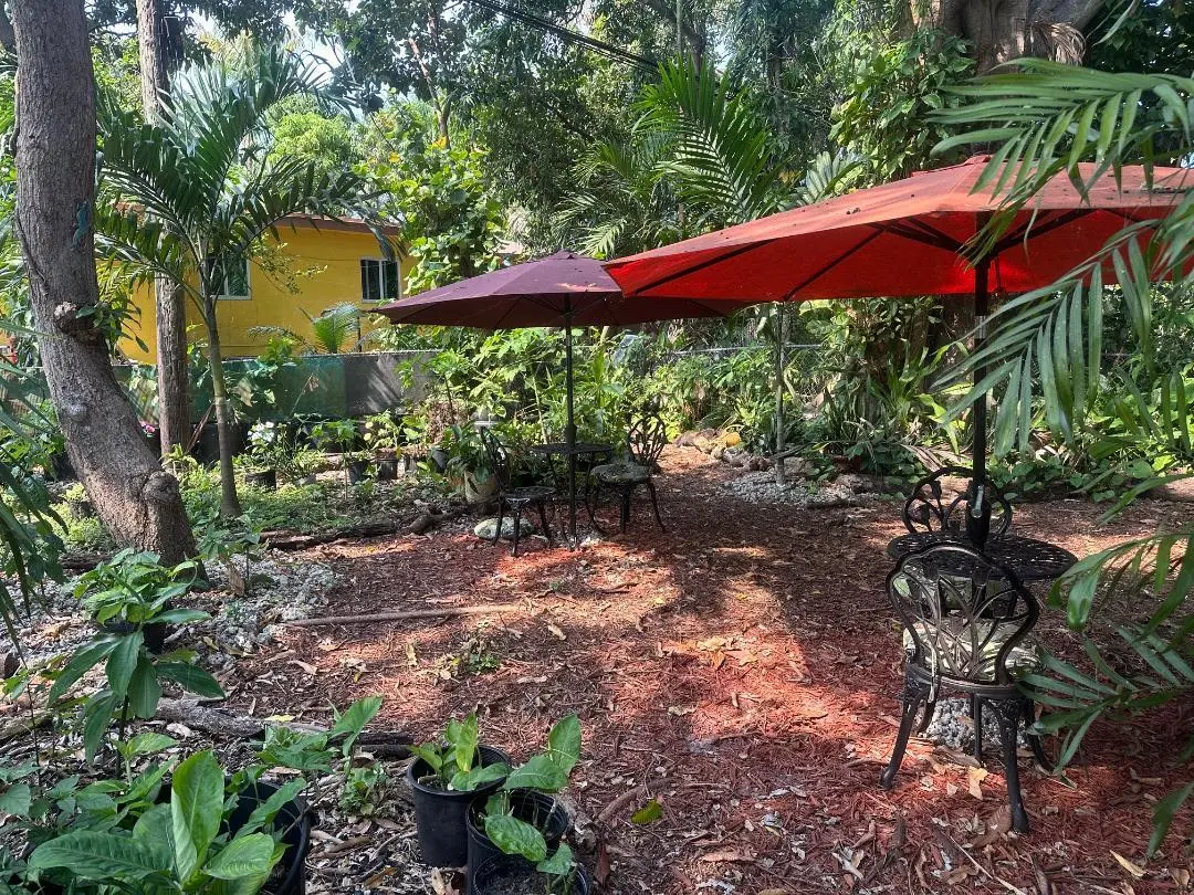 Back yard at 1631 NE 157th Terrace, North Miami Beach