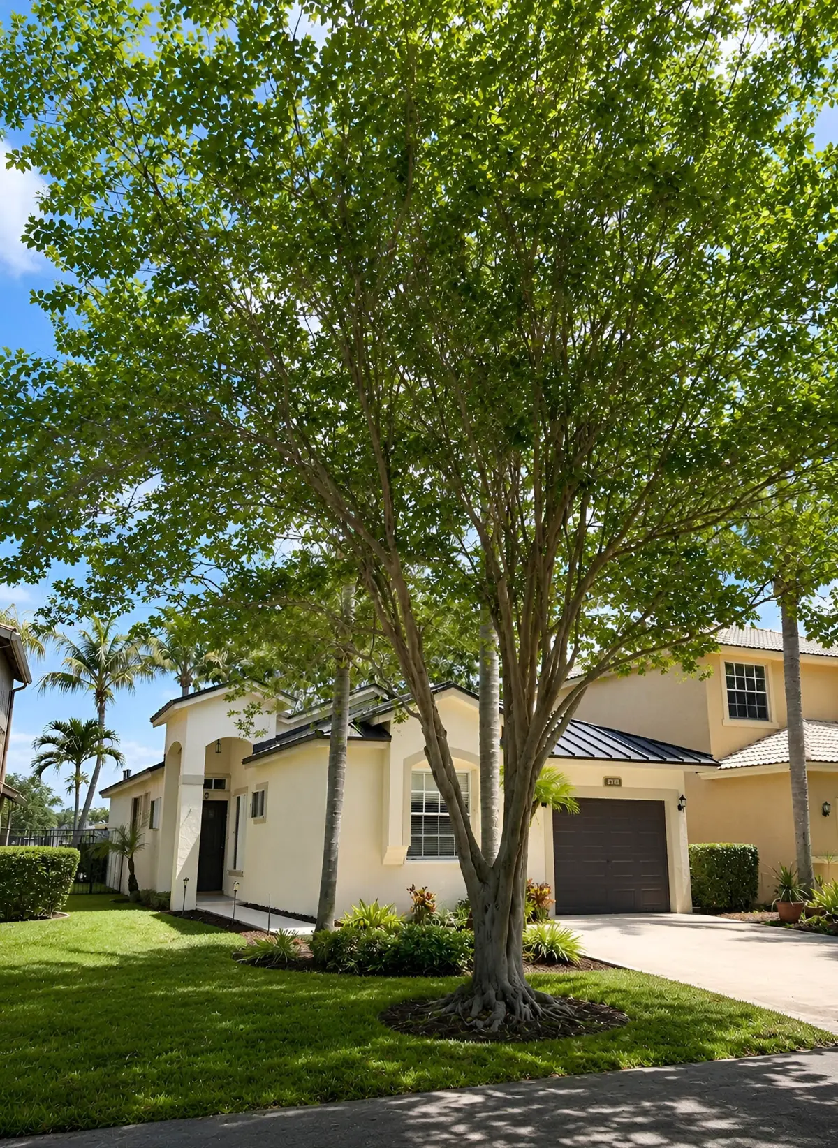 51-Share-3848279180676495195 at 4939 Pelican Street, Coconut Creek