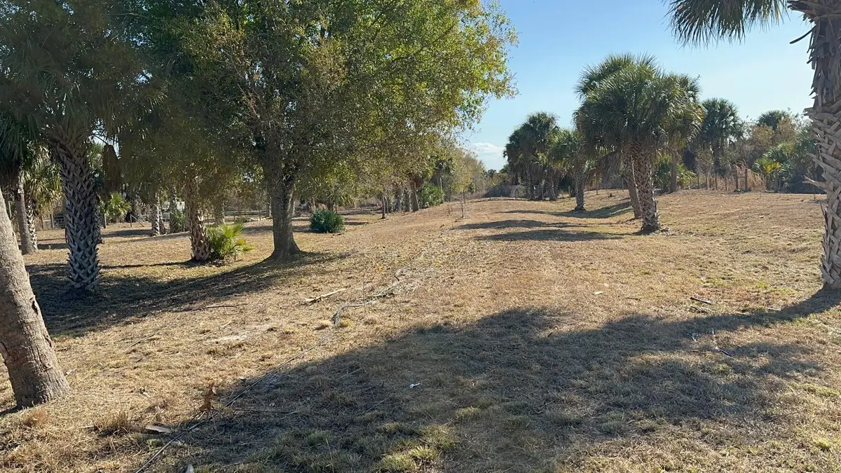 2-tree_lane_super at 27325 SW Tommy Clements Street, Indiantown