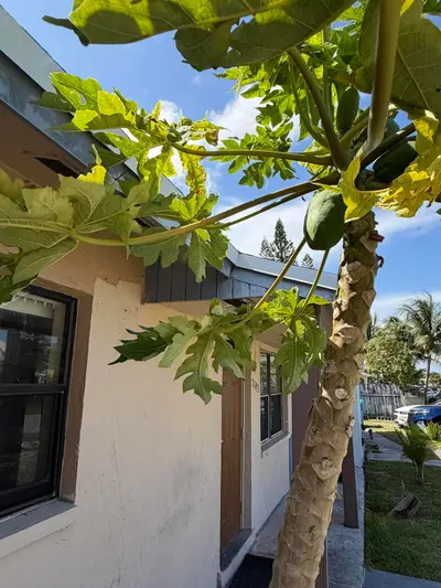 3243 Grove Road, Boynton Beach – Villa for sale