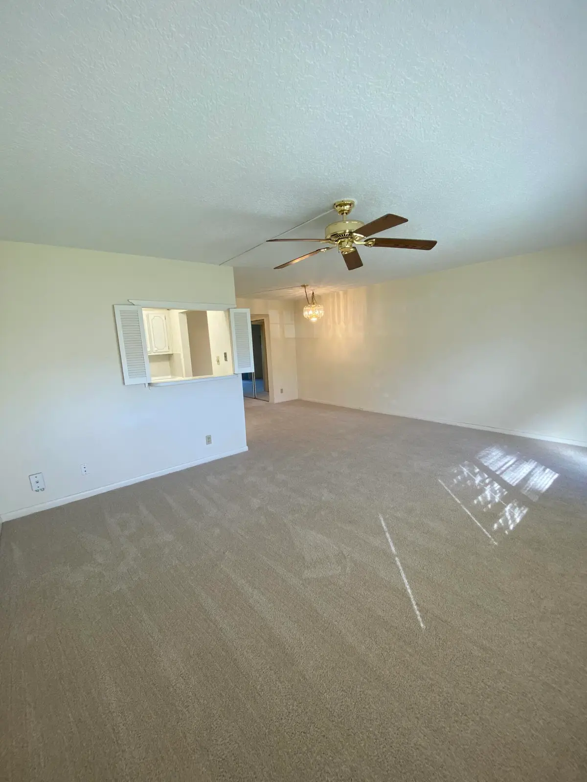 IMG_5775 at 429 Fanshaw K, Boca Raton
