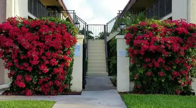 120 N M Street L, Lake Worth Beach – Condominium for rent