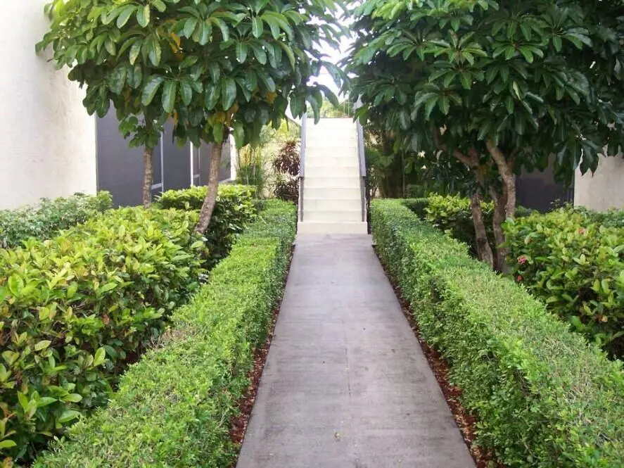 TGV Courtyard - Copy at 120 N M Street L, Lake Worth Beach