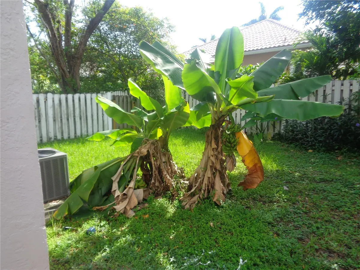 Photo 6 at 10939 W Broward Boulevard 10939, Plantation