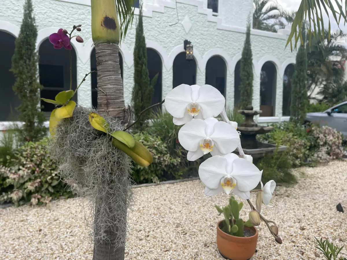 Surrounded by gardens at 312 Fordham Drive, Lake Worth
