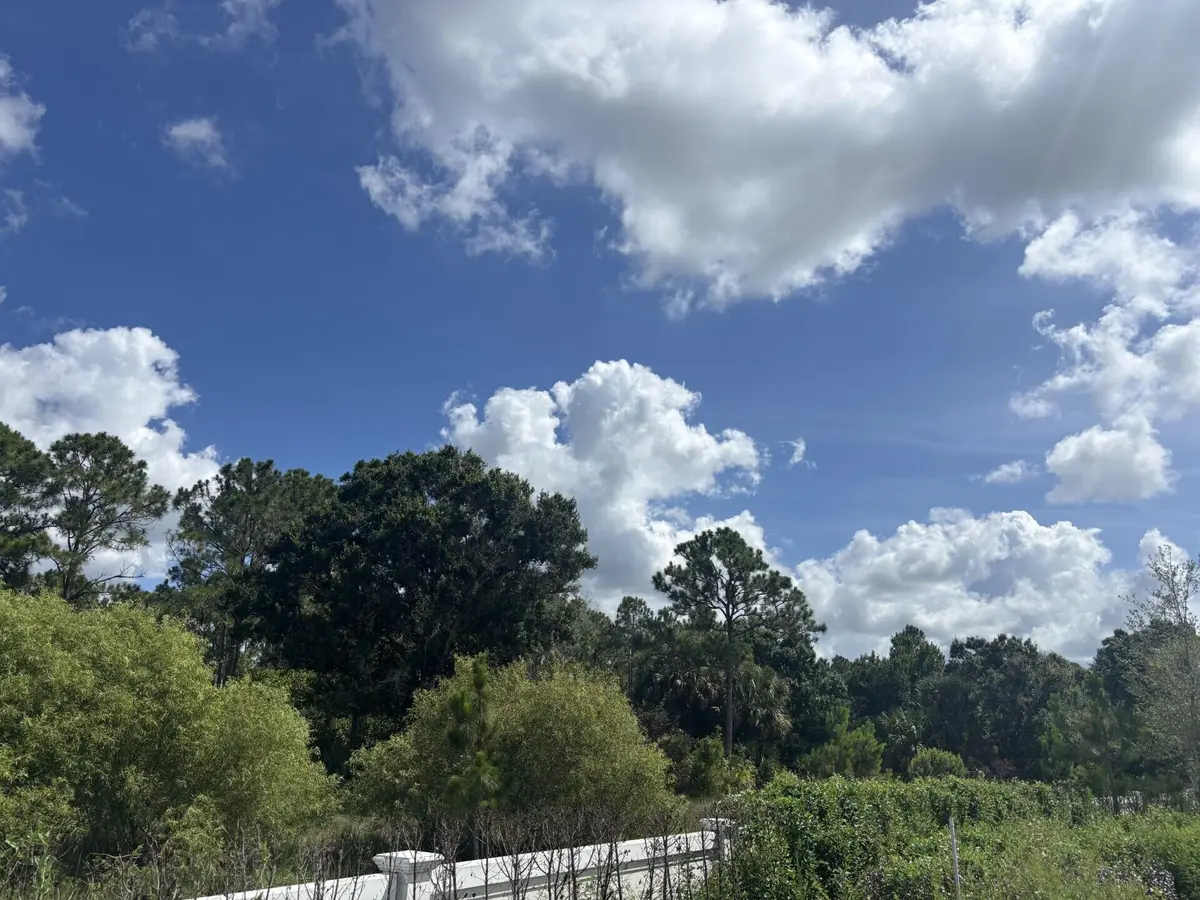 Lot 58 preserve right at 13101 Monte Rosa Court, Palm Beach Gardens