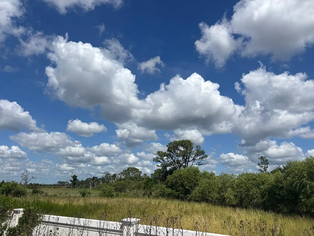 lot 58 preserve left at 13101 Monte Rosa Court, Palm Beach Gardens