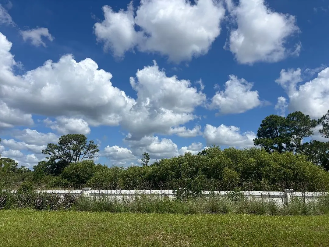 Lot 58 Back wall at 13101 Monte Rosa Court, Palm Beach Gardens