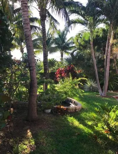 Lush tropical garden at 12 S Ocean Breeze #2, Lake Worth Beach
