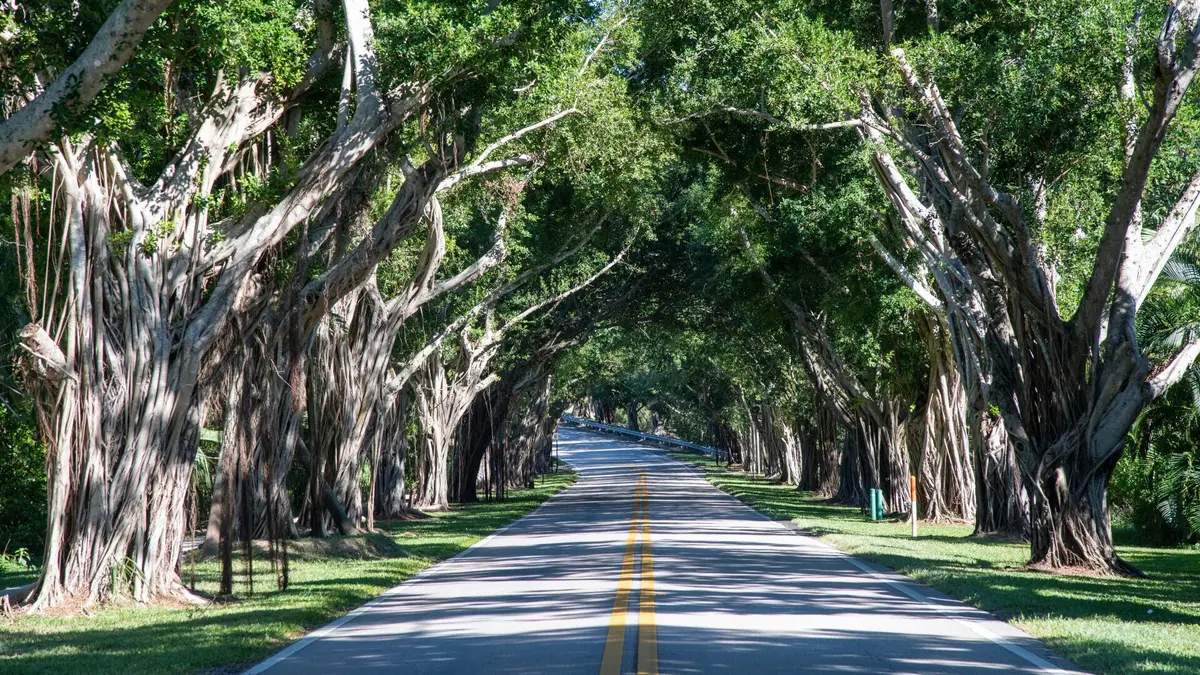 Bridge Road Hobe Sound Florida Banyan Gr at 9025 SE Bridge Road A, Hobe Sound