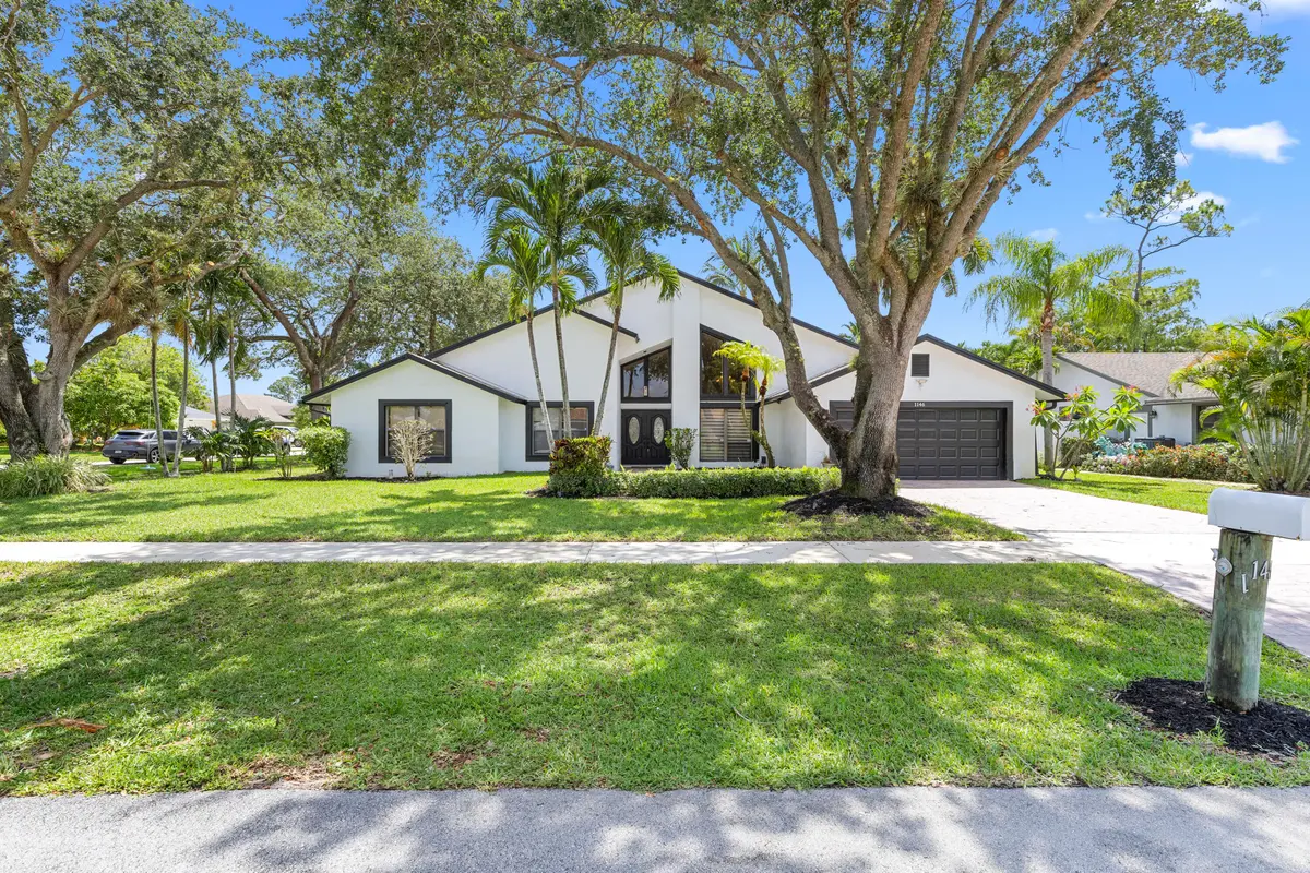 R6II1015 at 1146 Reading Terrace, Wellington
